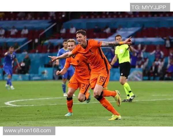 2016欧洲杯荷兰队的遗憾与反思：足球强国的崛起与挑战